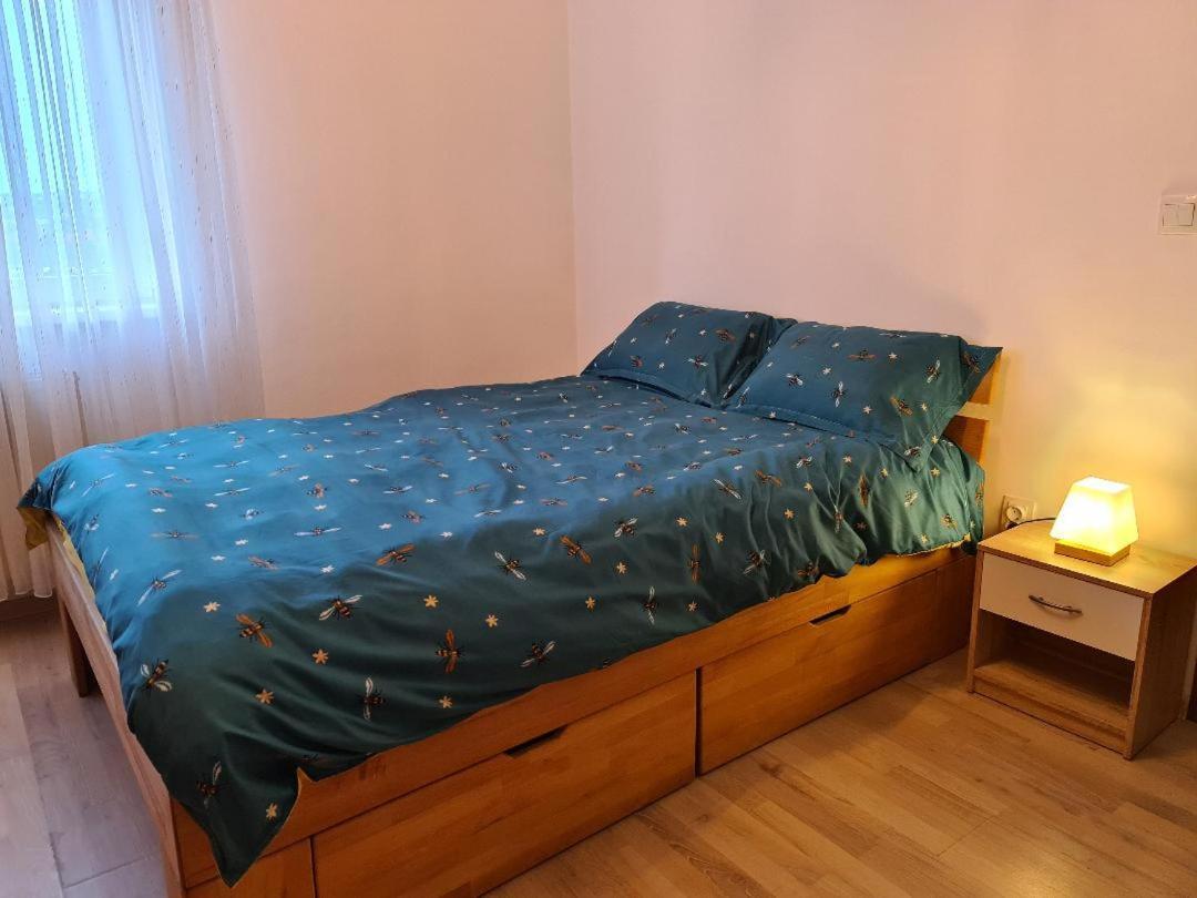 Central Cosy Apart Oradea Apartment Екстериор снимка