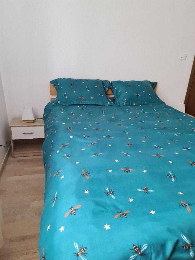 Central Cosy Apart Oradea Apartment Екстериор снимка